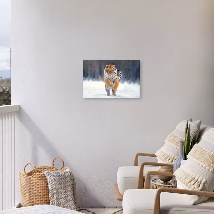 Tijger - Landschap - Sneeuw - Winter - Dieren Tuinposter op houten frame 2 cm dik klein -sfeer1