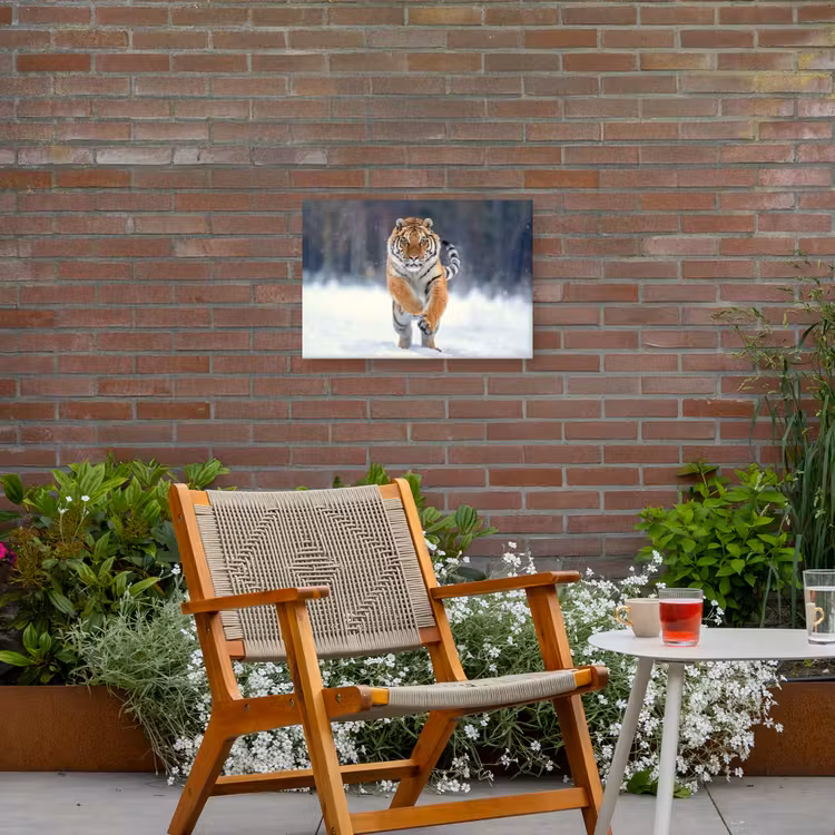Tijger rennend door de sneeuw Tuinposter op houten frame 2 cm dik klein -sfeer3