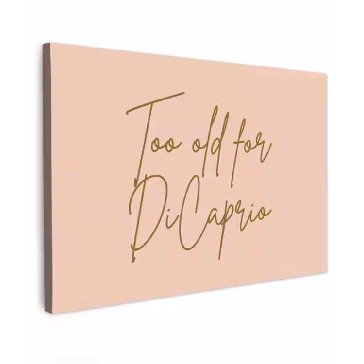 Too old for dicaprio - Roze - Groen Tuinposter op houten frame 2 cm dik klein -3d