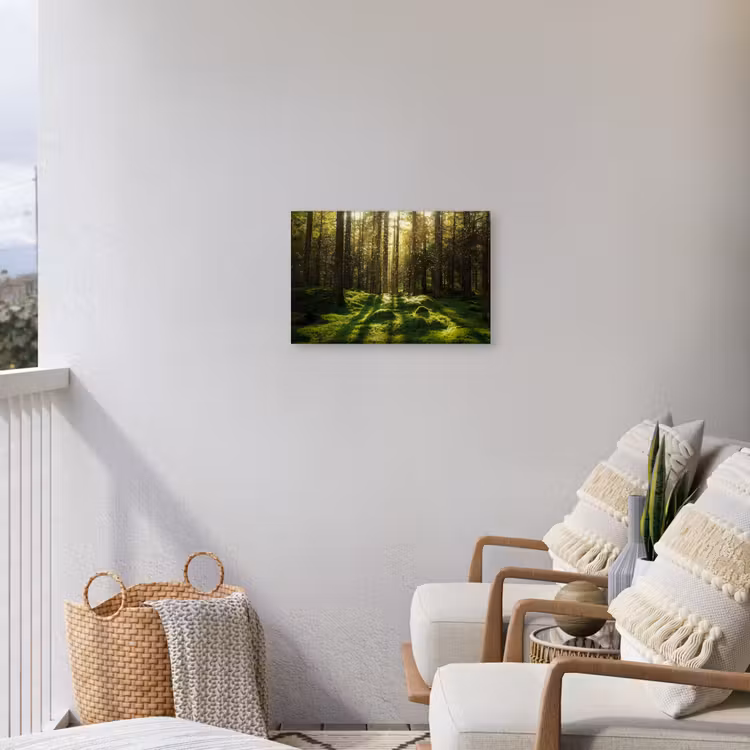 Bomen - Bos - Mos - Planten - Zon - Natuur Tuinposter op houten frame 2 cm dik klein -sfeer1
