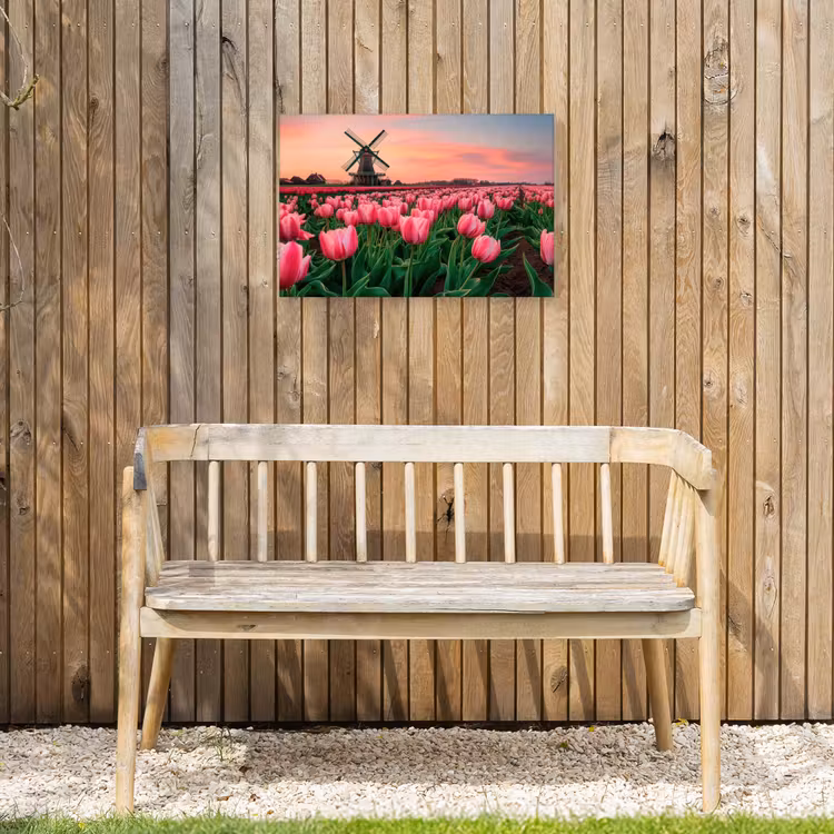 Tulpen - Molen - Nederland Tuinposter op houten frame 2 cm dik klein -sfeer4