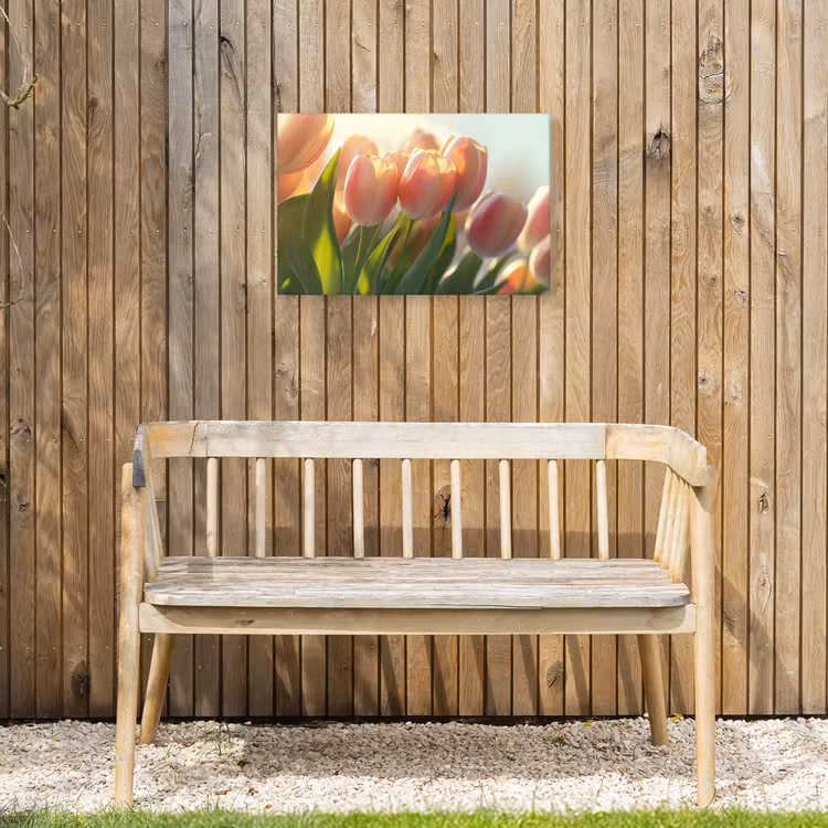 Tulpen - Roze - Zonnestralen Tuinposter op houten frame 2 cm dik klein -sfeer4