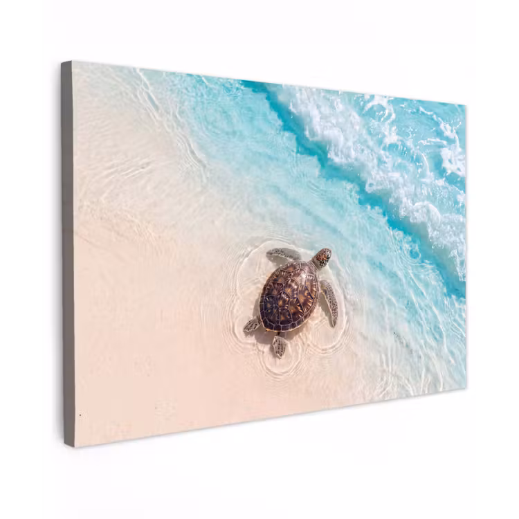 Schildpad - Helder water - Strand - Dieren - Natuur Tuinposter op houten frame 2 cm dik klein -3d