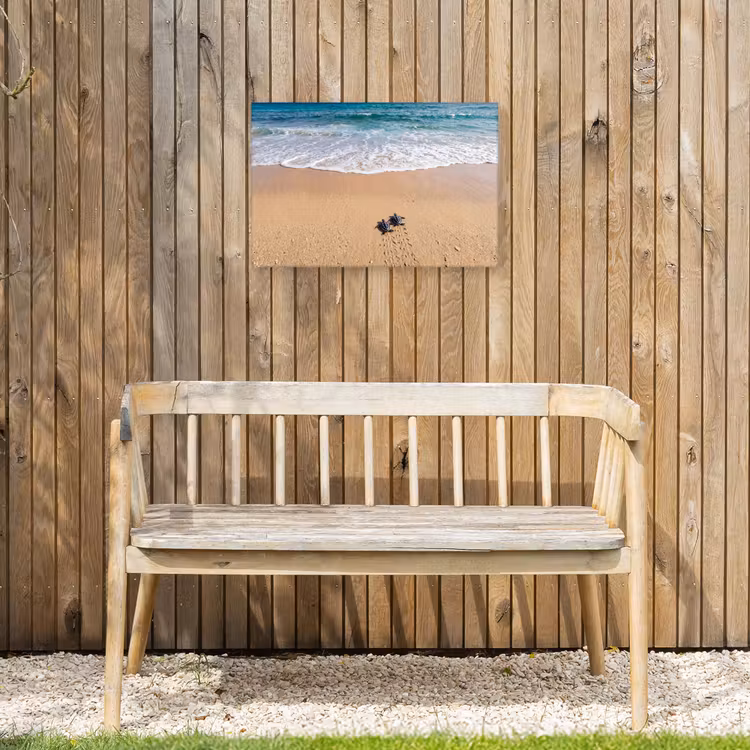 Schildpad - Jong - Strand - Oceaan - Blauw Tuinposter op houten frame 2 cm dik klein -sfeer4