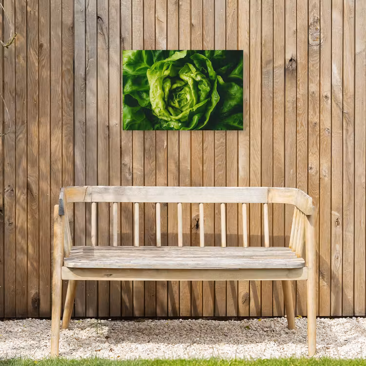Groente - Sla - Groen Tuinposter op houten frame 2 cm dik klein -sfeer4