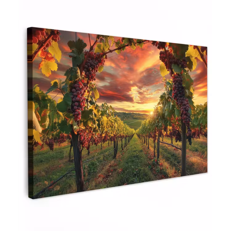 Wijngaard - Druiven - Zonsondergang Tuinposter op houten frame 2 cm dik klein -3d