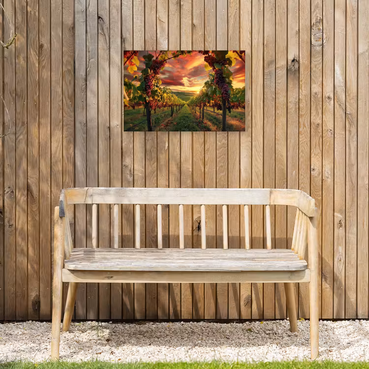 Wijngaard - Druiven - Zonsondergang Tuinposter op houten frame 2 cm dik klein -sfeer4
