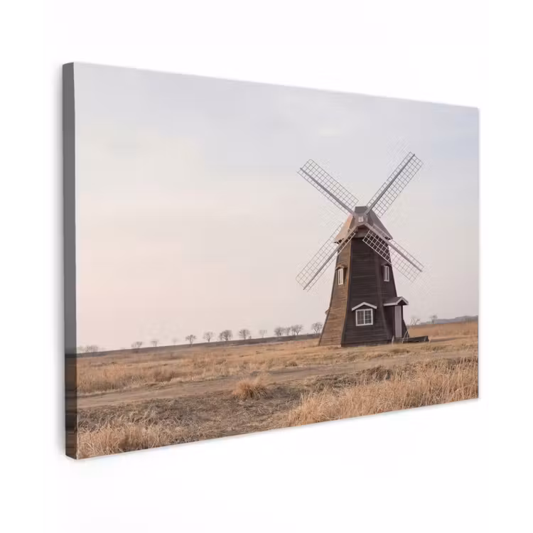 Windmolens - Landschap - Veld Tuinposter op houten frame 2 cm dik klein -3d