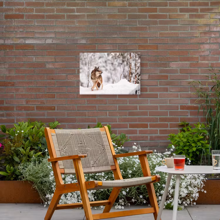 Wolf - Winter - Sneeuw - Natuur - Dieren Tuinposter op houten frame 2 cm dik klein -sfeer3