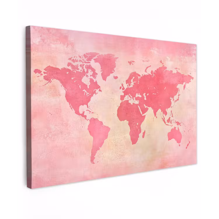 Wereldkaart - Roze - Vaag Tuinposter op houten frame 2 cm dik klein -3d
