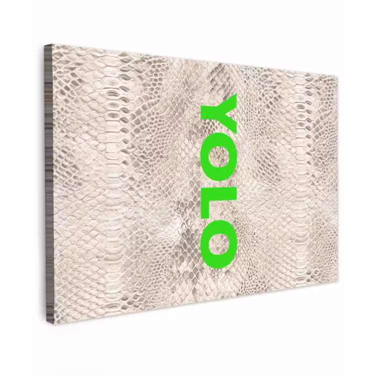 YOLO - Groen - Neon - Slangenprnt Tuinposter op houten frame 2 cm dik klein -3d