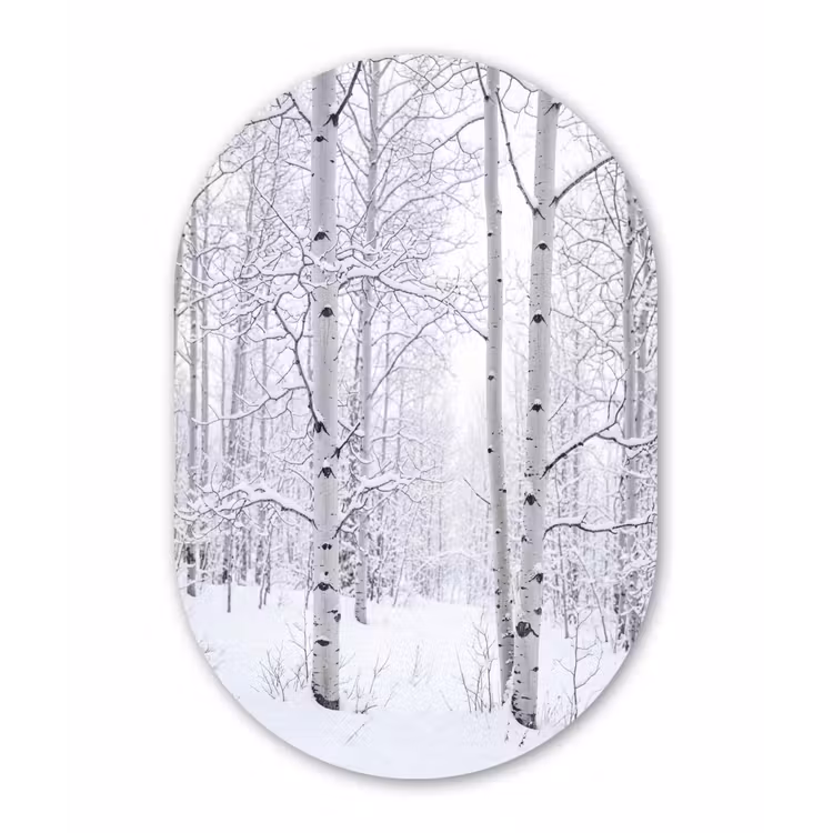 Berkenbomen - Sneeuw - Winter - Bos - Wit Wandcirkel Ovaal Forex klein -3d