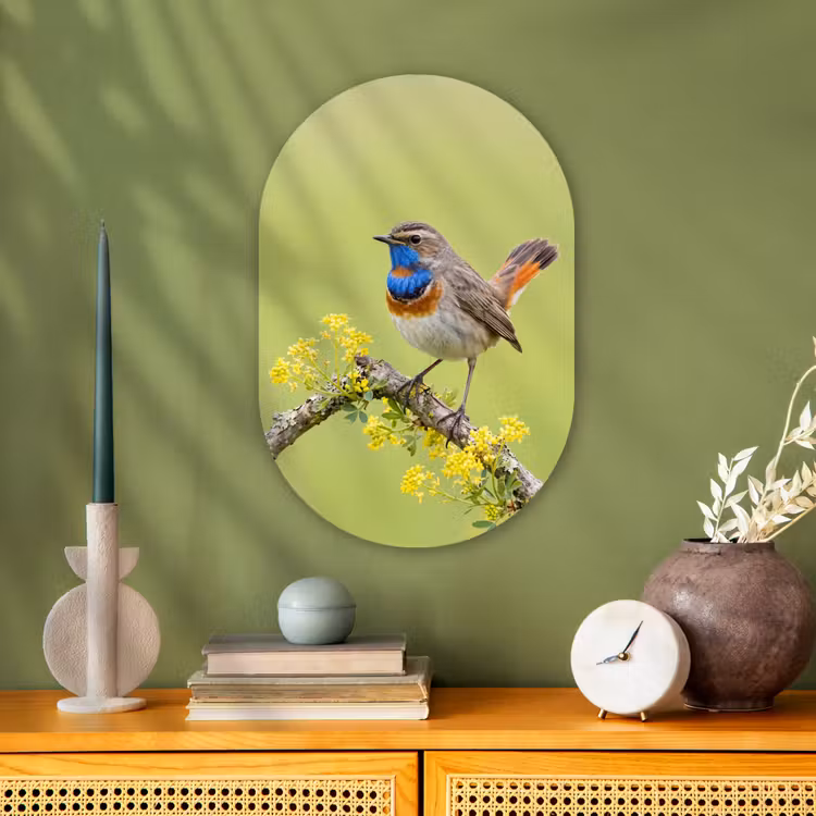Vogel - Tak - Natuur - Kleurrijk Wandcirkel Ovaal Forex klein -sfeer2