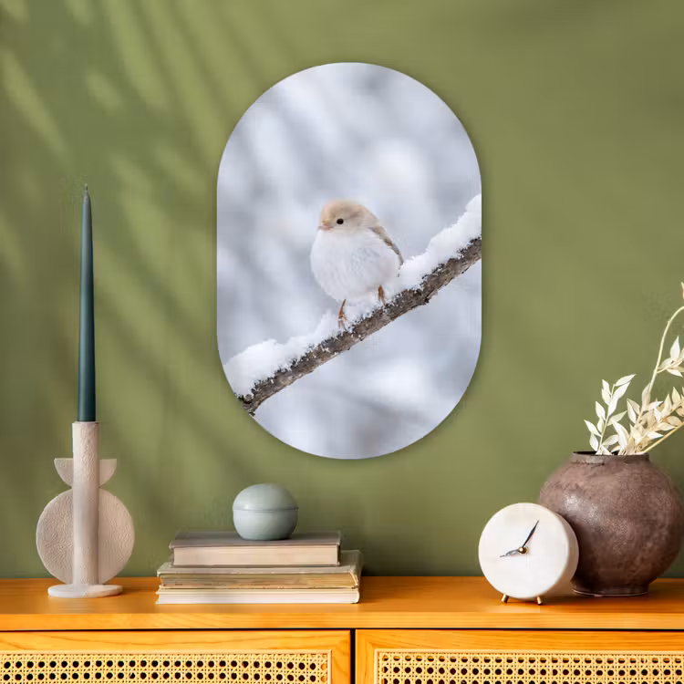 Vogeltje - Sneeuw - Tak - Winter - Zacht Wandcirkel Ovaal Forex klein -sfeer2