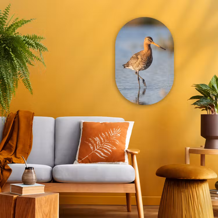 Vogel - Steltloper - Water - Natuur Wandcirkel Ovaal Forex klein -sfeer4