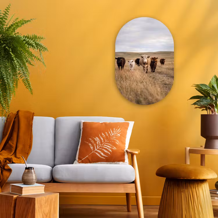 Runderen - Kudde - Landschap - Weide - Rustig Wandcirkel Ovaal Forex klein -sfeer4