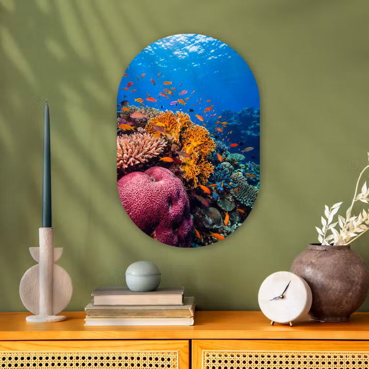 Koraal - Vissen - Oceaan - Natuur - Kleurrijk Wandcirkel Ovaal Forex klein -sfeer2