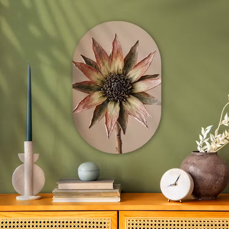 Droogbloem - Protea - Vintage - Beige - Rustiek Wandcirkel Ovaal Forex klein -sfeer2