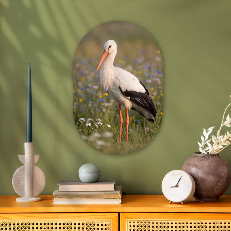 Ooienvaar - Bloemen - Weide - Kleurrijk Wandcirkel Ovaal Forex klein -sfeer2