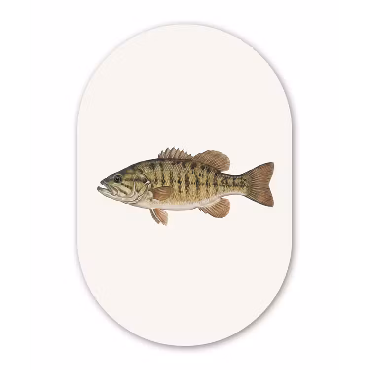Vissen - Natuur - Vintage Wandcirkel Ovaal Forex klein -3d