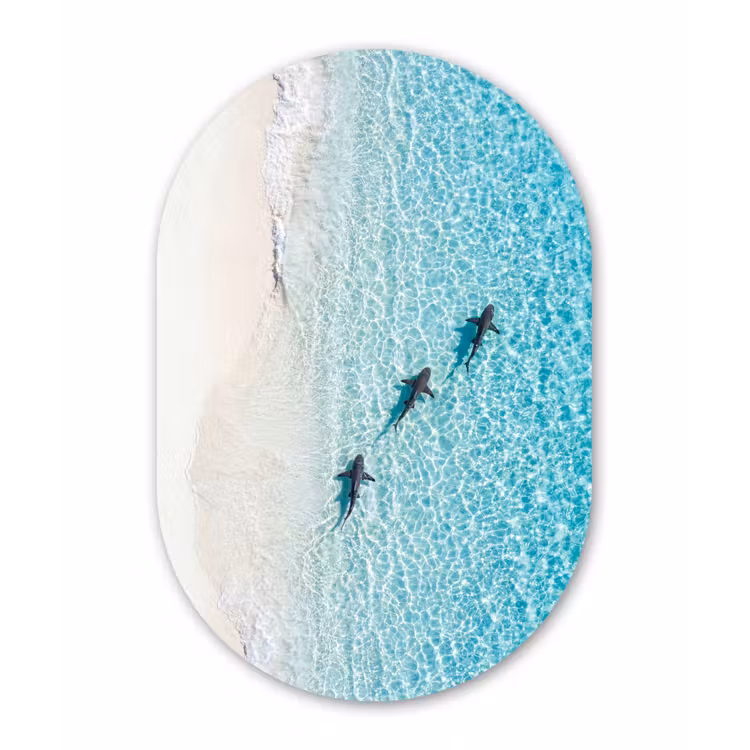 Vis - Oceaan - Strand - Turquoise - Natuur Wandcirkel Ovaal Forex klein -3d