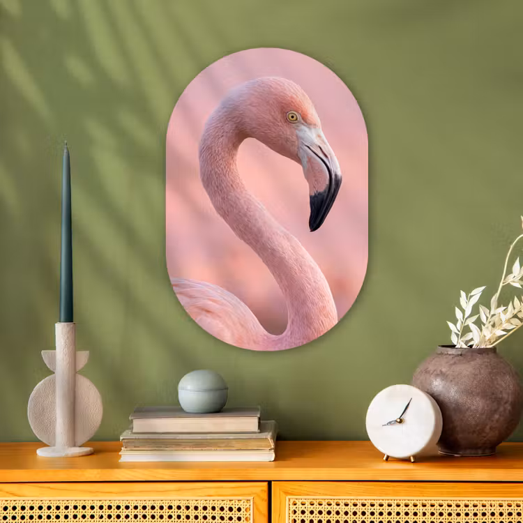 Flamingo - Portret - Roze Wandcirkel Ovaal Forex klein -sfeer2