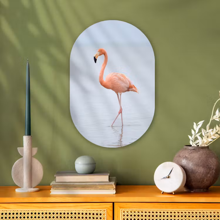 Flamingo - Zee - Roze Wandcirkel Ovaal Forex klein -sfeer2