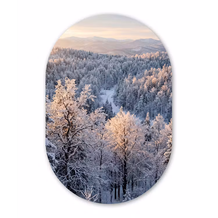 Bos - Bergen - Goud - Winter - Warm Wandcirkel Ovaal Forex klein -3d