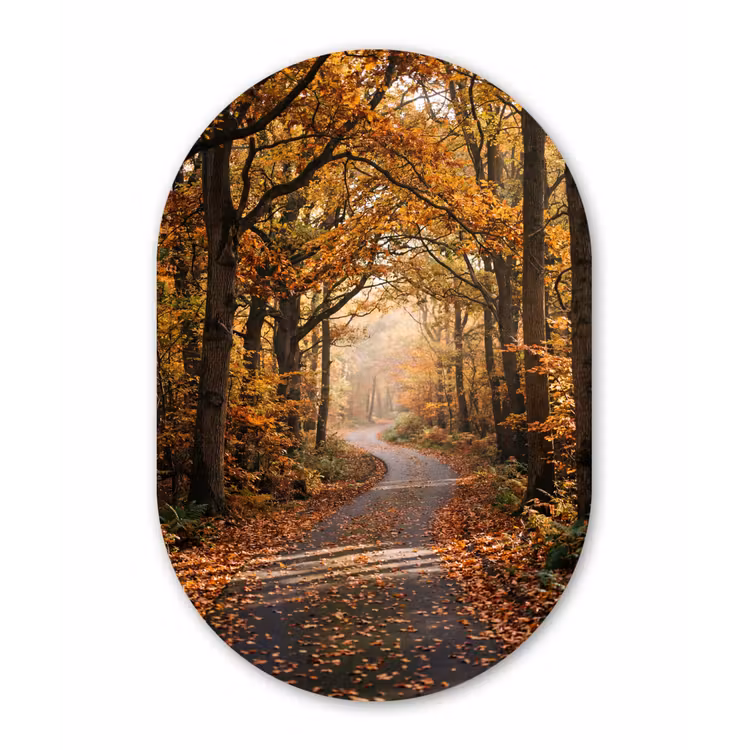 Bospad - Herfstbos - Bladeren - Oranje - Nostalgisch Wandcirkel Ovaal Forex klein -3d