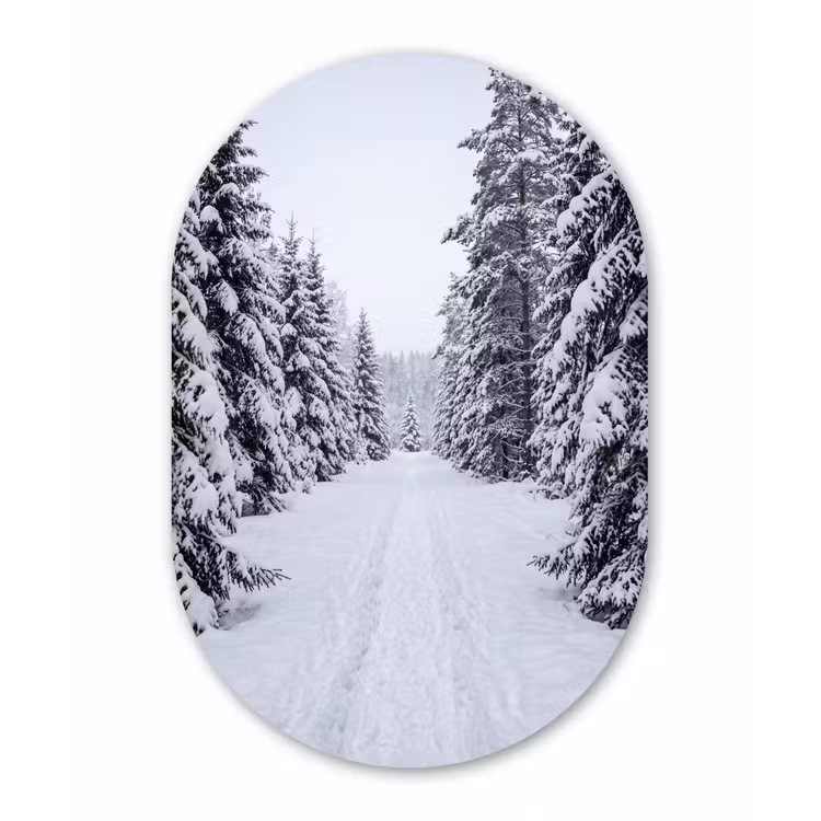Bos - Winter - Sneeuw - Pad - Natuur Wandcirkel Ovaal Forex klein -3d