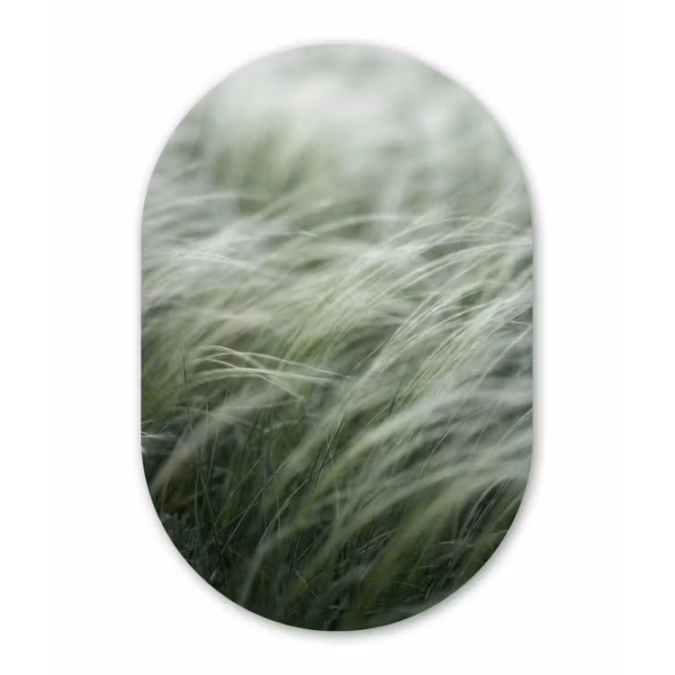 Gras - Wazig - Natuur - Groen - Zacht Wandcirkel Ovaal Forex klein -3d