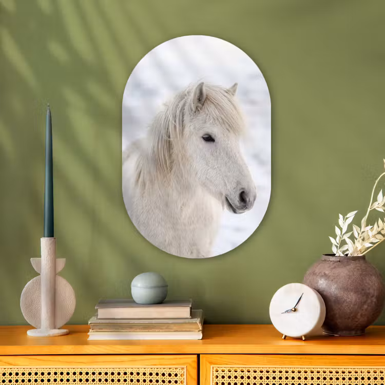 Paard - Kop - Winter - Dieren - Wit Wandcirkel Ovaal Forex klein -sfeer2