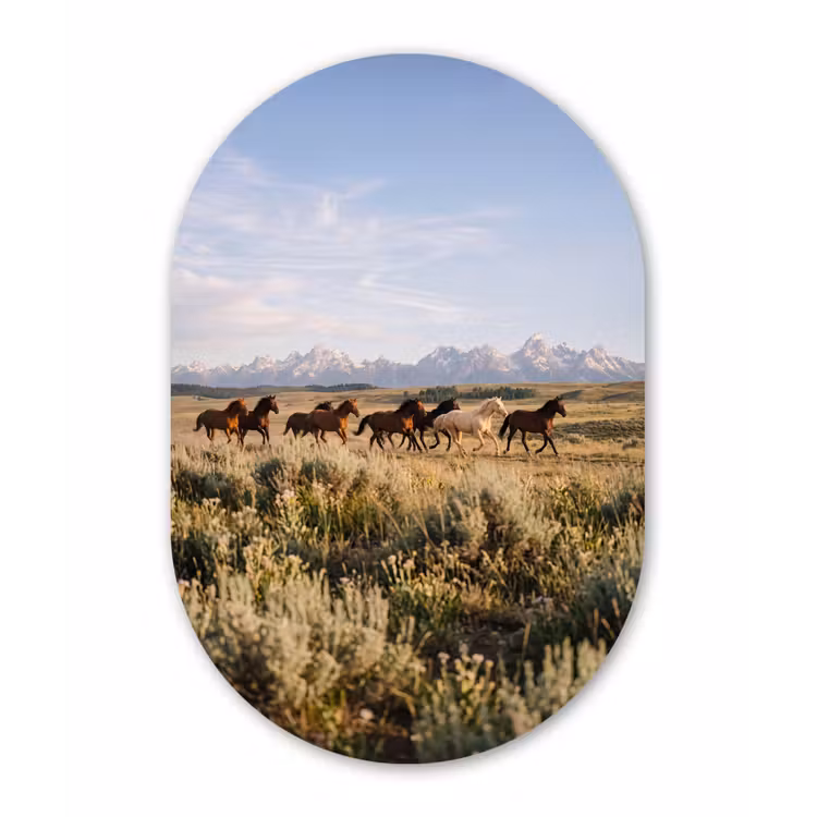 Paarden - Kudde - Bergen - Vrijheid - Wild Wandcirkel Ovaal Forex klein -3d