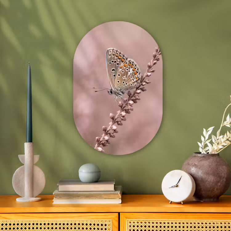 Lavendel - Vlinder - Paars Wandcirkel Ovaal Forex klein -sfeer2