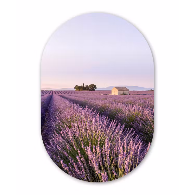 Lavendel - Landschap - Sereen - Paars Wandcirkel Ovaal Forex klein -3d