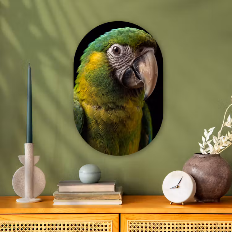 Ara - Portret - Groen Wandcirkel Ovaal Forex klein -sfeer2