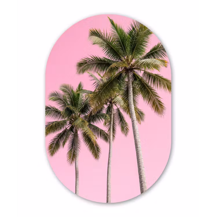 Palmboom - Tropisch - Pink Wandcirkel Ovaal Forex klein -3d