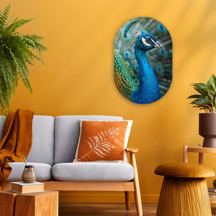 Pauw - Veren - Blauw Wandcirkel Ovaal Forex klein -sfeer4