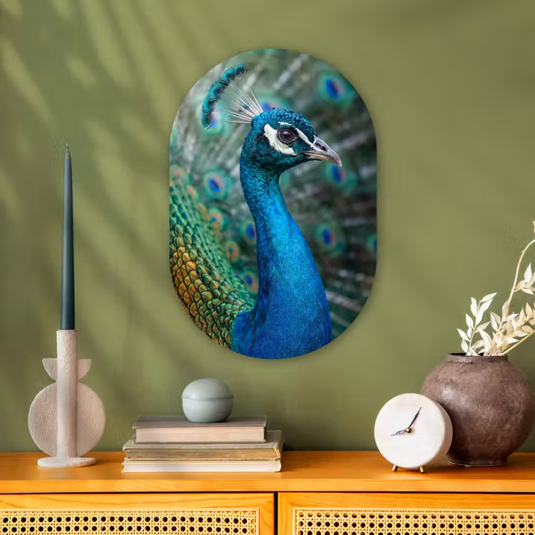 Pauw - Veren - Blauw Wandcirkel Ovaal Forex klein -sfeer2