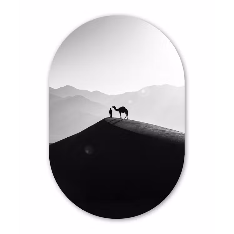 Mens - Kameel - Zandduin - Natuur - Monochroom Wandcirkel Ovaal Forex klein -3d