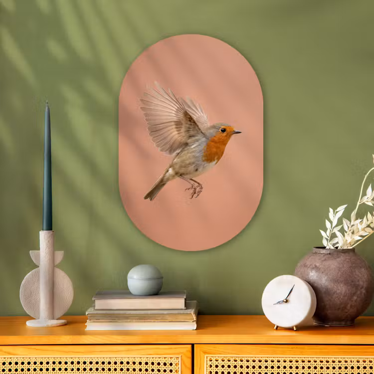 Roodborst - Natuur - Roze Wandcirkel Ovaal Forex klein -sfeer2