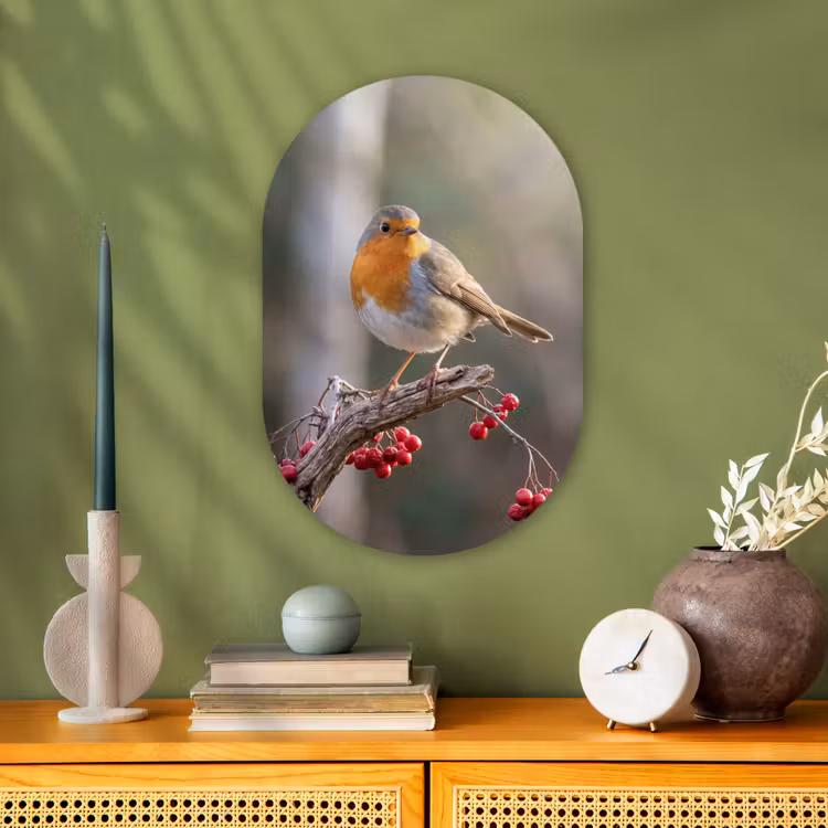 Roodborst - Tak - Bessen - Natuur Wandcirkel Ovaal Forex klein -sfeer2