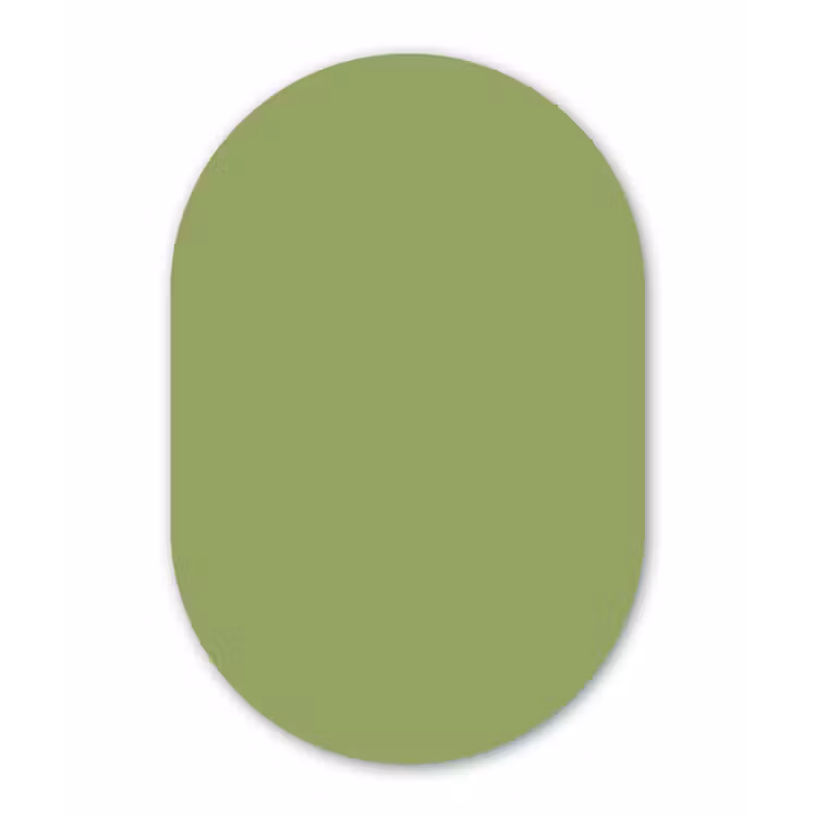 Sage - Green - Groen Wandcirkel Ovaal Forex klein 630 -3d