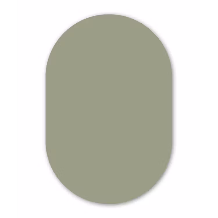 Sage - Mist - Groen Wandcirkel Ovaal Forex klein 630 -3d