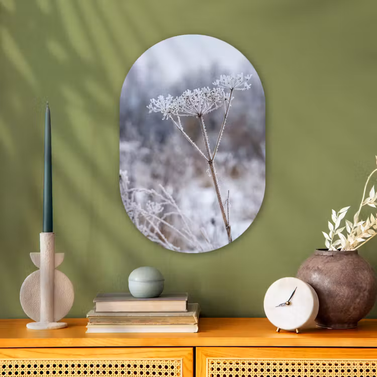 Schermbloem - Rijp - Kristallen - Winter - Delicaat Wandcirkel Ovaal Forex klein -sfeer2