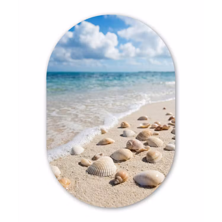 Schelpen - Strand - Natuur - Beige Wandcirkel Ovaal Forex klein -3d