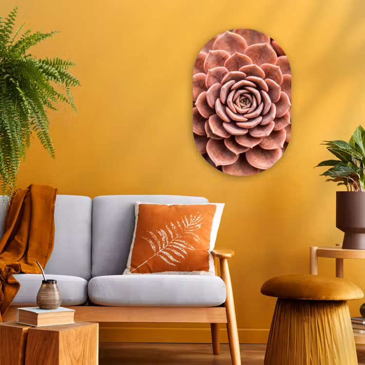 Vetplant - Organisch - Roze Wandcirkel Ovaal Forex klein -sfeer4