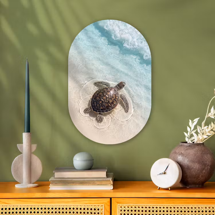 Schildpad - Helder water - Strand - Dieren - Natuur Wandcirkel Ovaal Forex klein -sfeer2