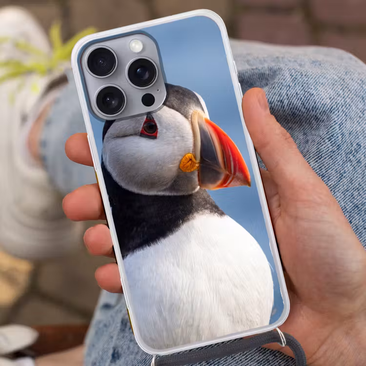 Papegaaiduiker - Portret - Natuur Hoesje iPhone 16 Pro Max met koord klein -sfeer3