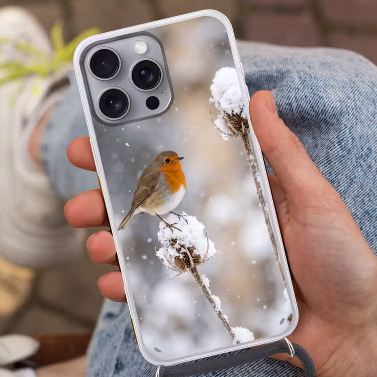 Roodborstje - Gedroogde bloem - Sneeuw - Winter - Vertederend Hoesje iPhone 16 Pro Max met koord klein -sfeer3